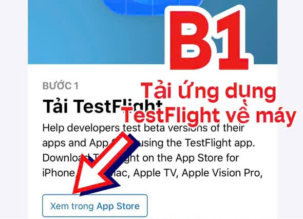 B1