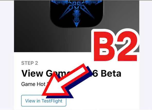 B2